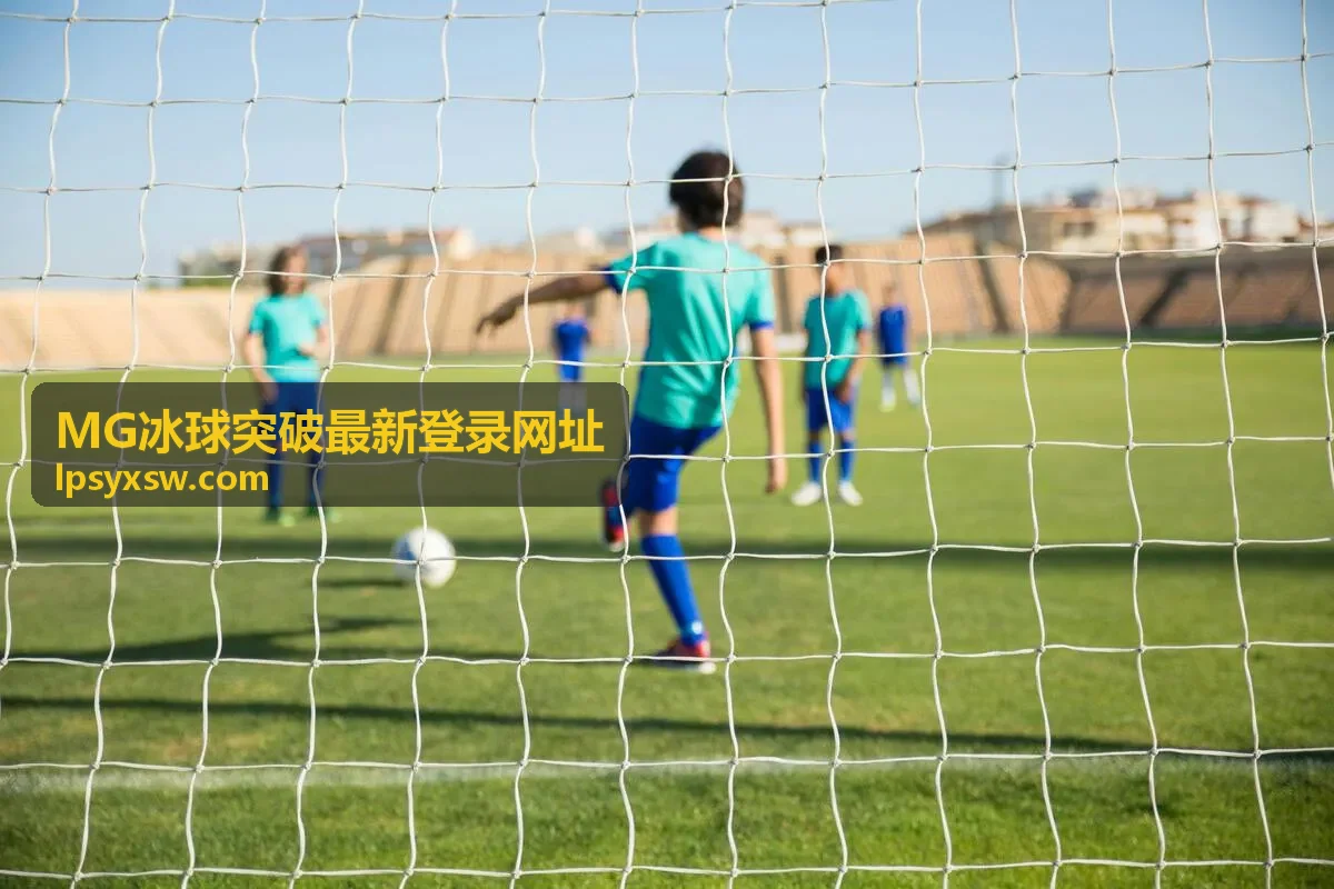 MG冰球突破最新登录网址网络环境安全自查