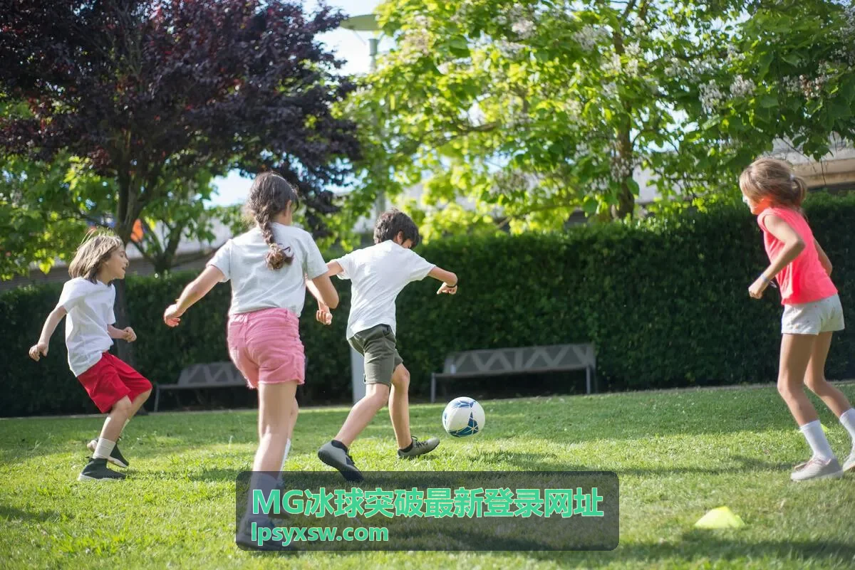 MG冰球突破最新登录网址异常风险识别示意