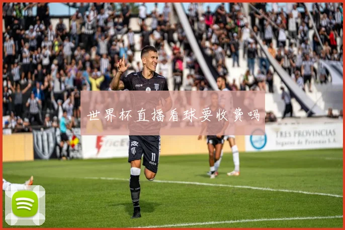 世界杯直播看球要收费吗