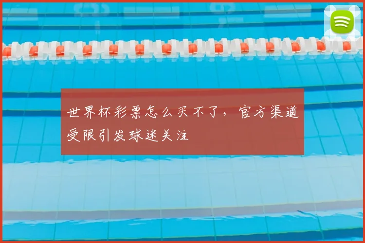 世界杯彩票怎么买不了，官方渠道受限引发球迷关注